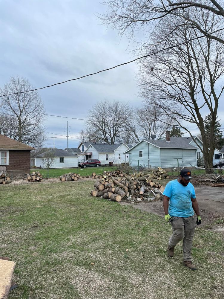 Tree Removal for General State Property Maintenance in New Haven, IN