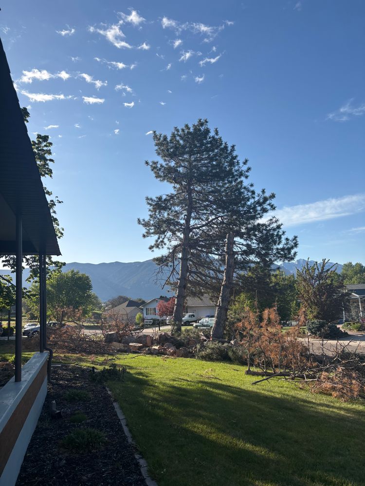 Landscaping for Adventure Landscaping in Pleasant View, UT