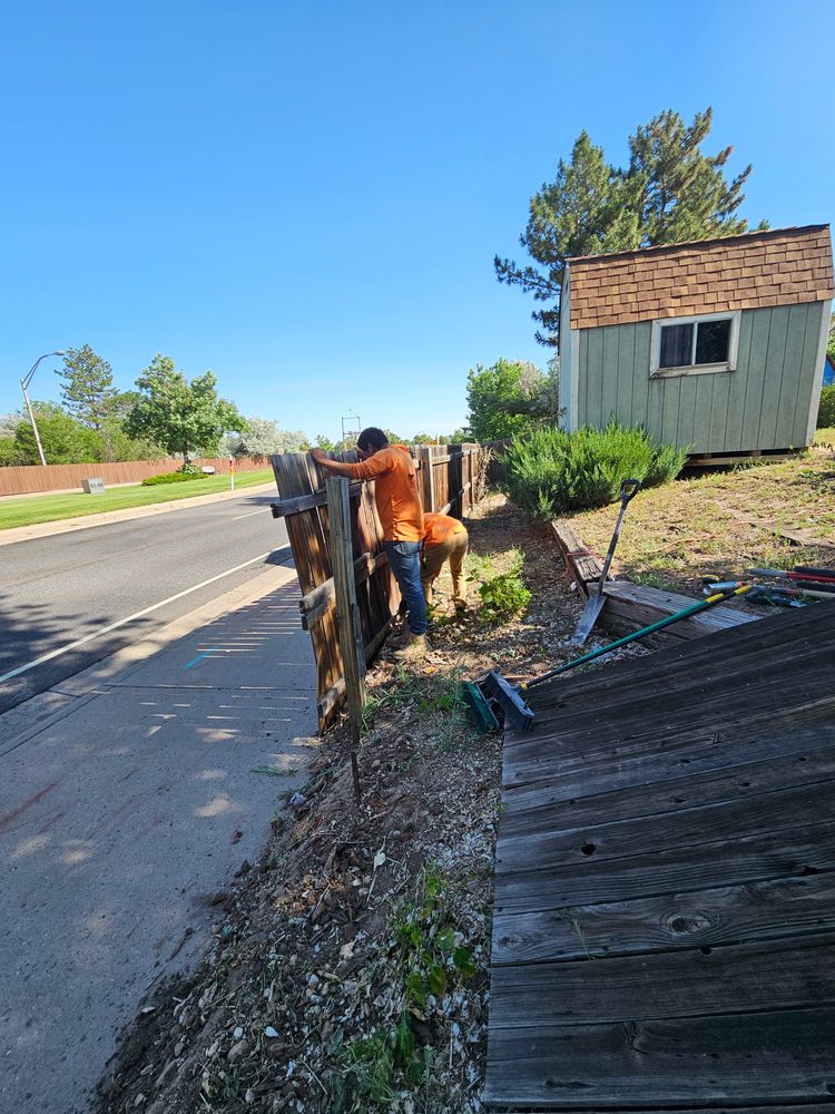 All Photos for NGL Landscape Company in Denver, CO