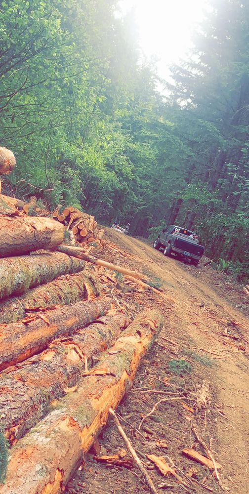 Land Clearing & Logging for DCX LLC in Gresham, OR