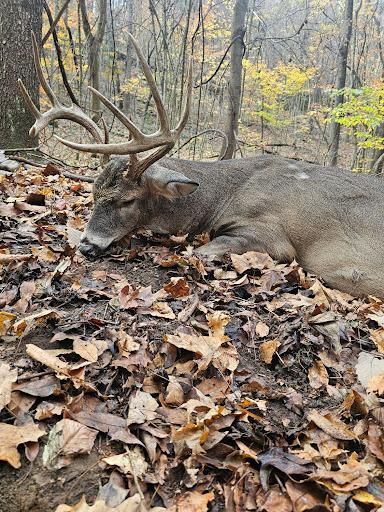 All Photos for Bluff Country Whitetails in Southern Indiana, IN