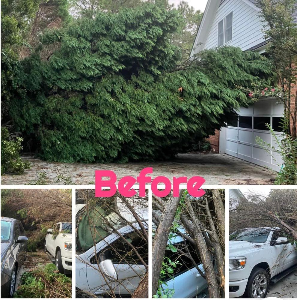 All Photos for Pink Pelican Tree Service & Landscaping in Columbia, SC