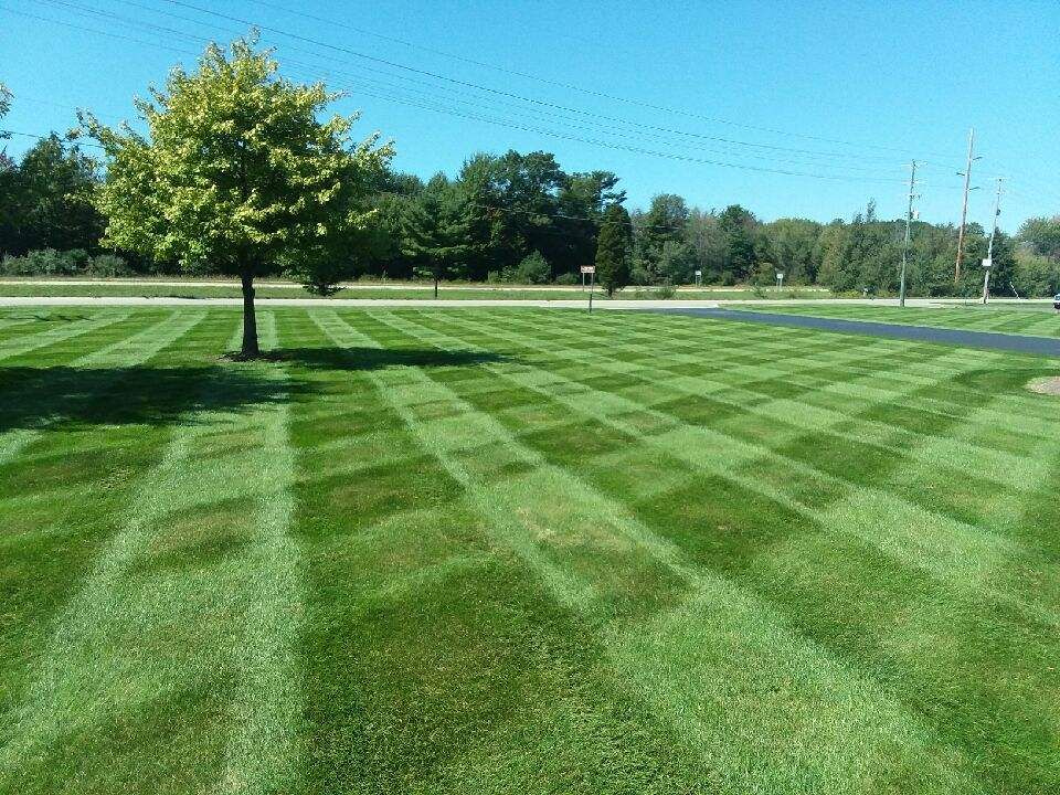 Lawn Care for Greenscape Lawns in Montague, MI
