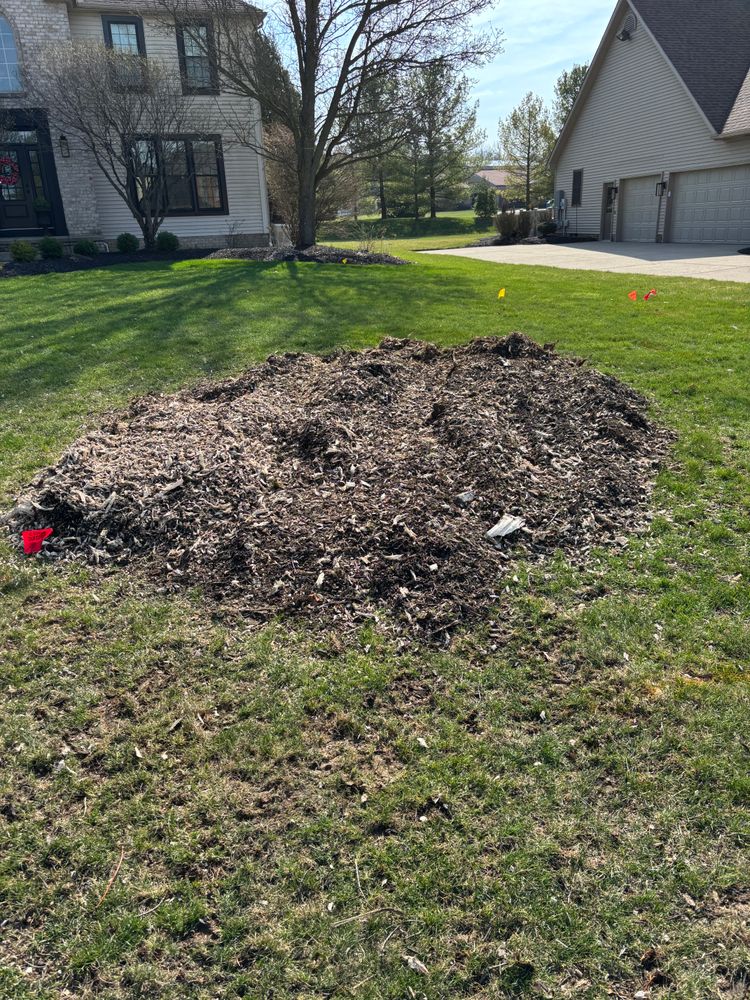 All Photos for Dean's Stump Removal in Youngstown, OH