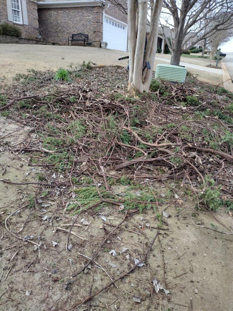 All Photos for Upstate Precision Landscaping in Moore, SC