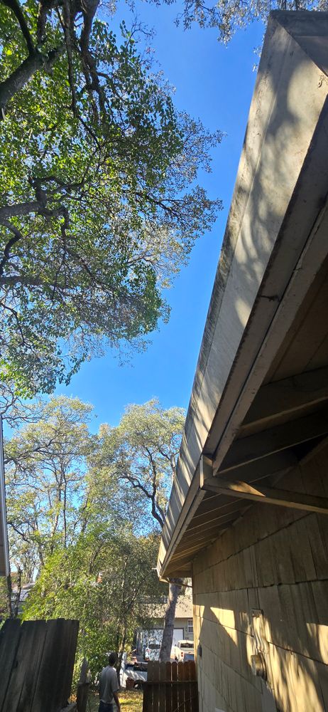 All Photos for George Staddan's Professional Tree Care in Placerville, CA