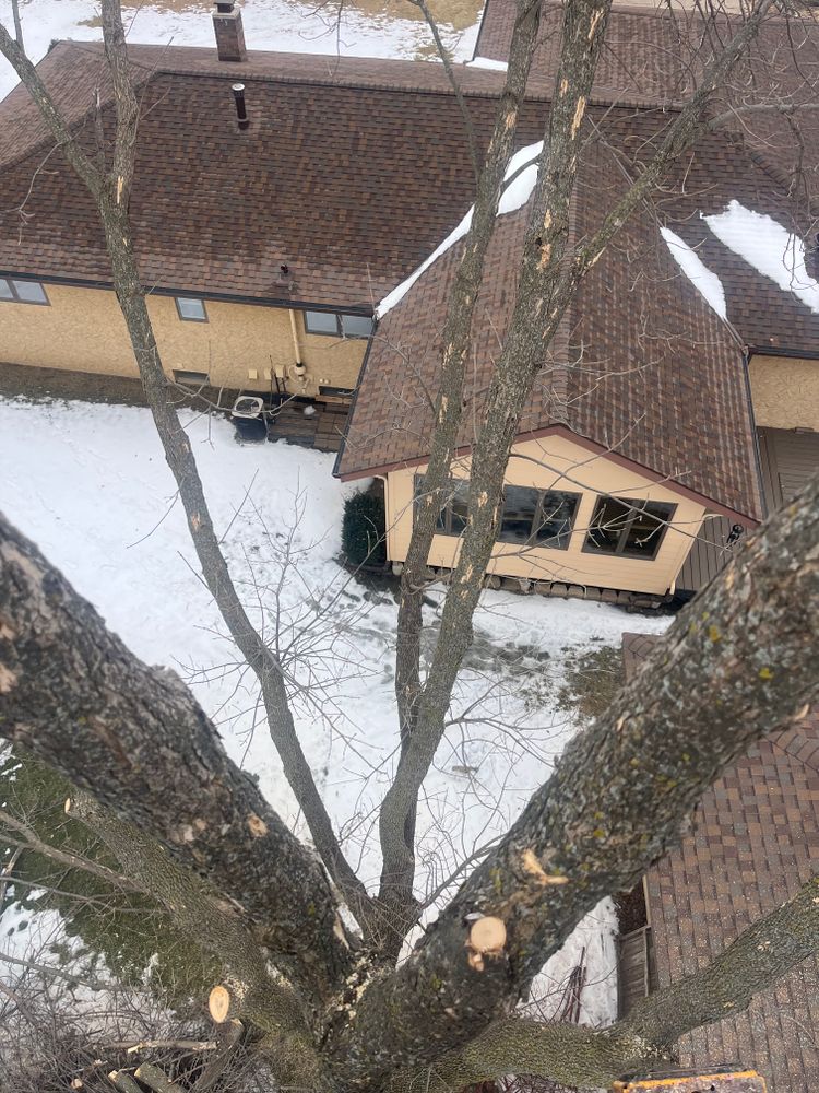 All Photos for K and Z Tree Care in Isanti County, MN