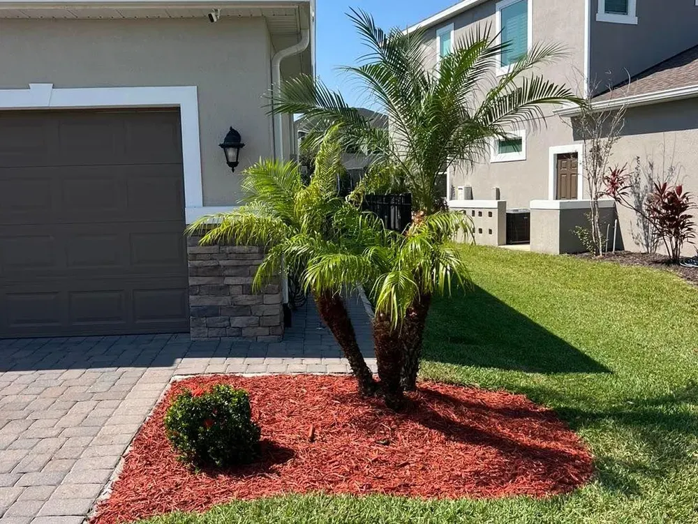 All Photos for Florida Pro Turf in Rockledge, FL