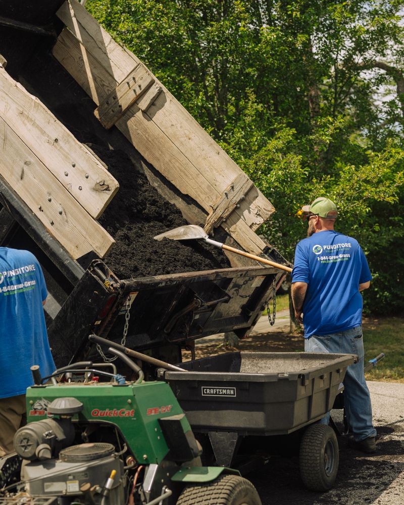 All Photos for Pungitore Landscapes, Irrigation & Fertilizer in Hingham, MA