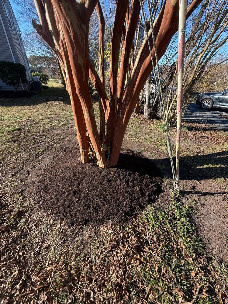 All Photos for Bew’s Lawn Care in Girdletree, MD