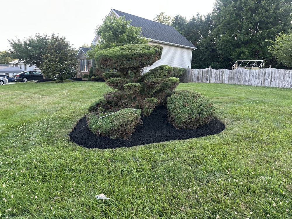 All Photos for A Better Lawn Service LLC in Bel Air, MD