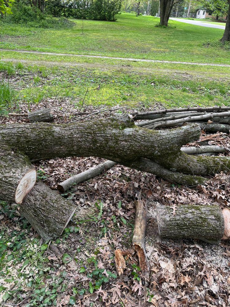 Tree Removal for Blakescape in Elkhart, IN