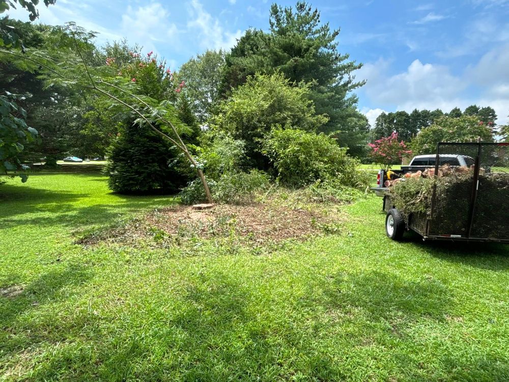 Tree Services for Total Tree Care in Erwin, North Carolina