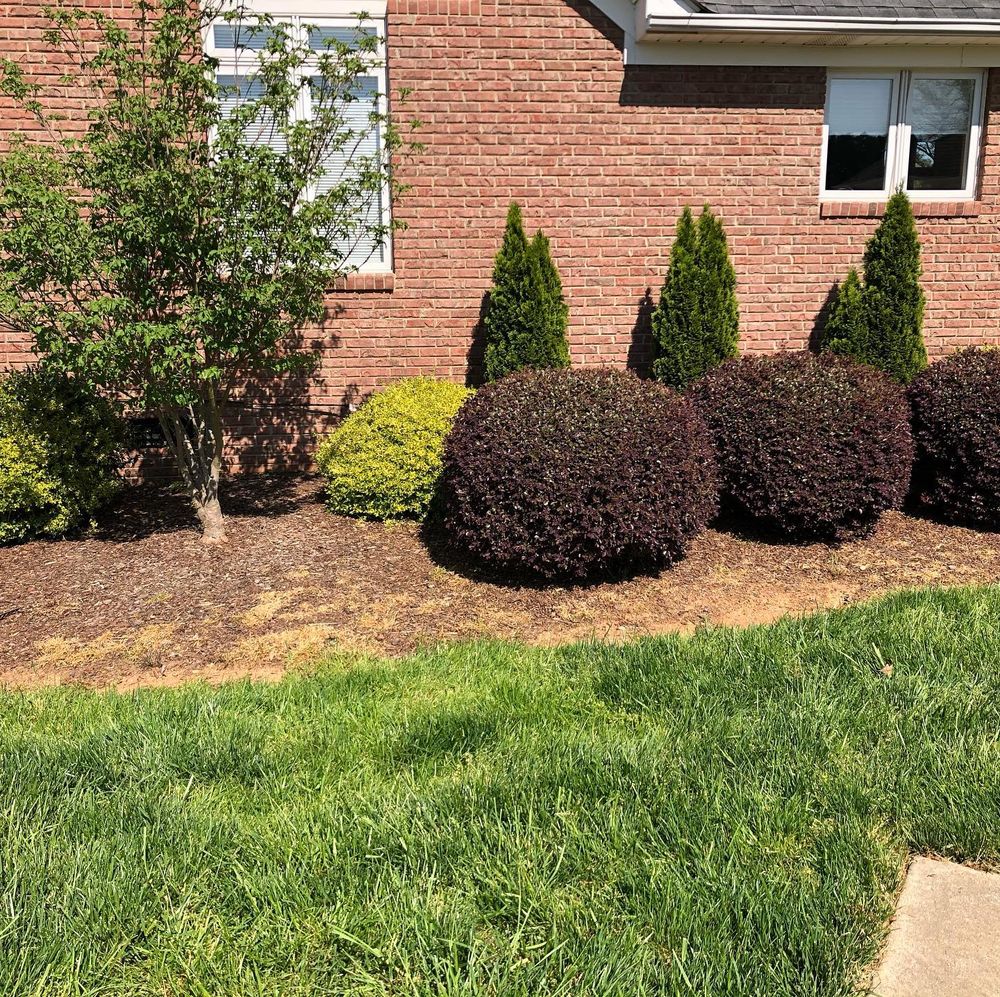 Landscaping for Grandview Lawn Care in Norwood, NC