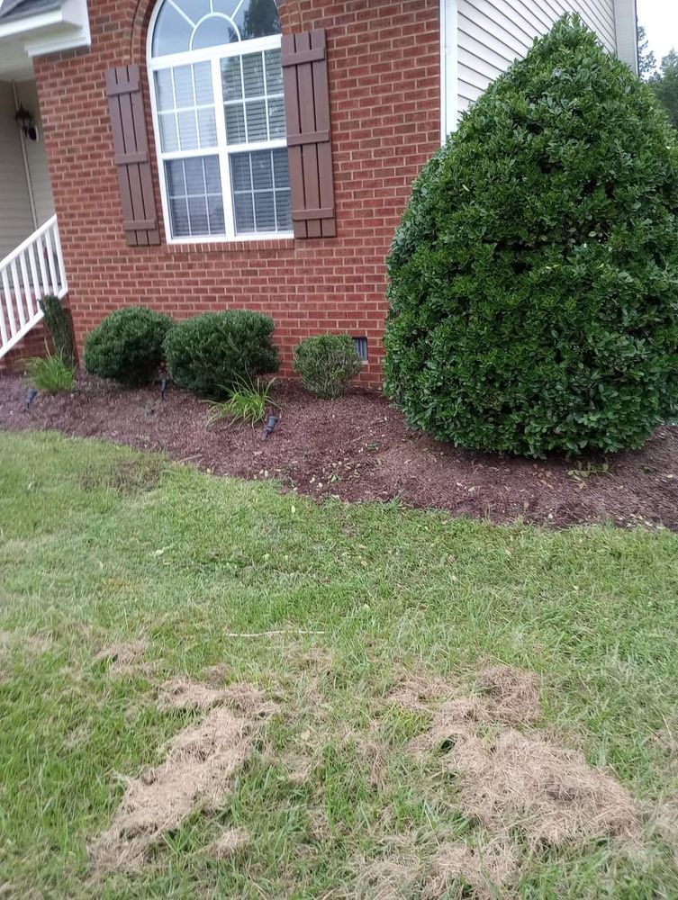 Landscaping for Handy Al's Landscaping LLC in Greenville, NC