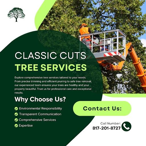 All Photos for Classic cut tree trimming and removal in Arlington, TX