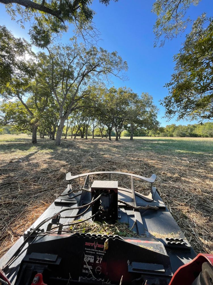 Landscaping for Marek Land Services in  Austin,  Texas