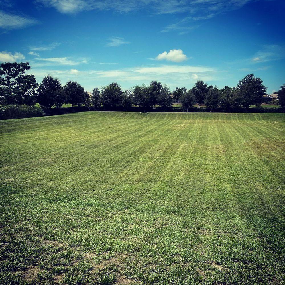 All Photos for Village Lawn Services LLC in Lake Panasoffkee, FL
