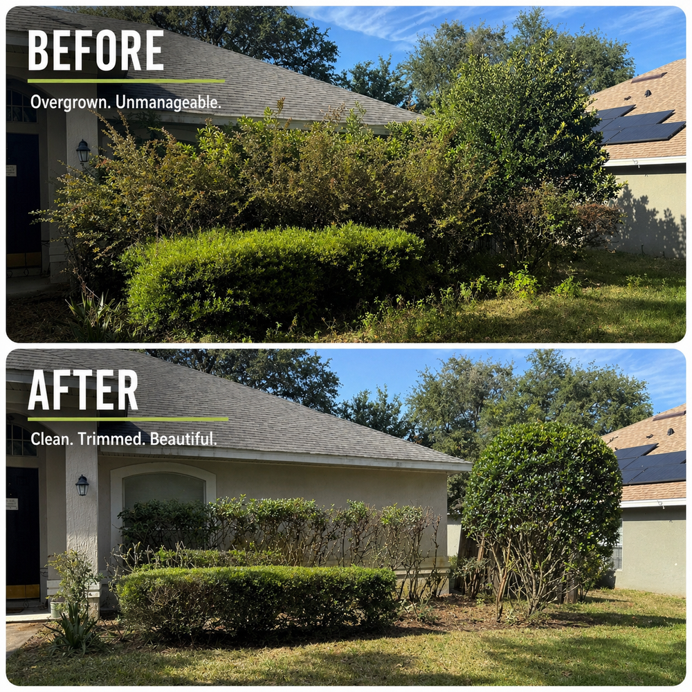 All Photos for Amerigrown Tree And Lawn in Apopka, FL