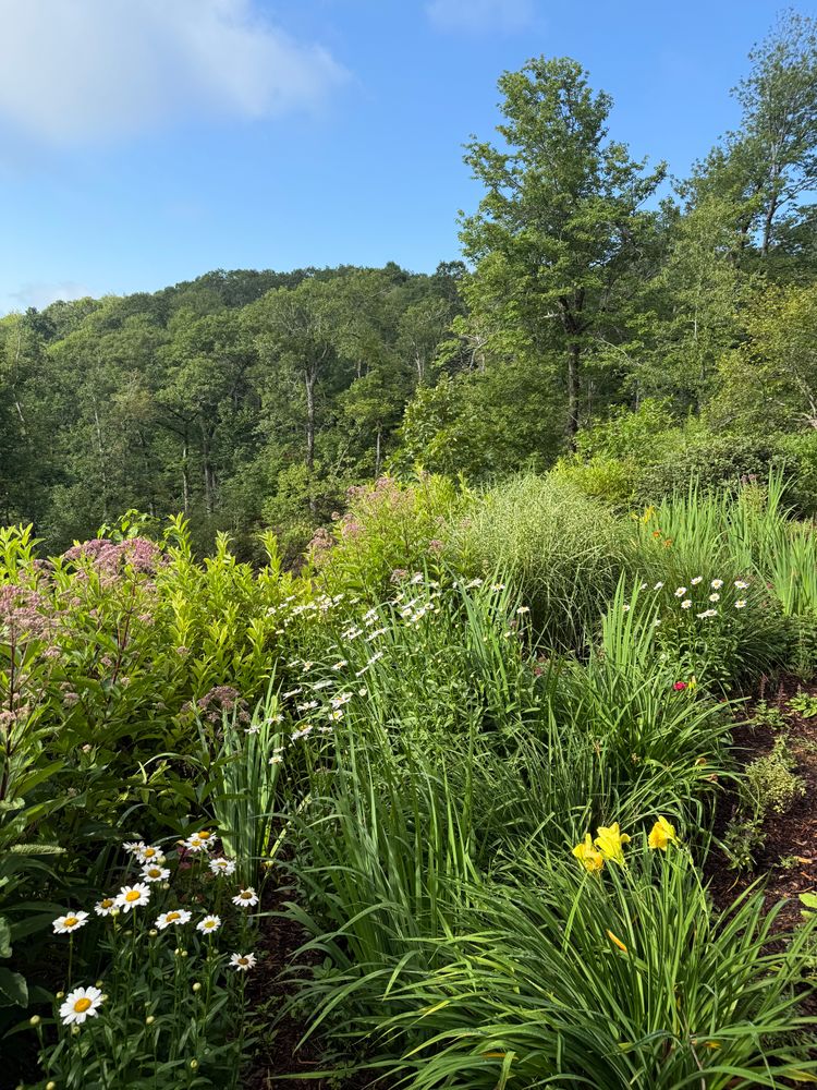 All Photos for Sustainable Lawn and Landscape in Banner Elk, NC