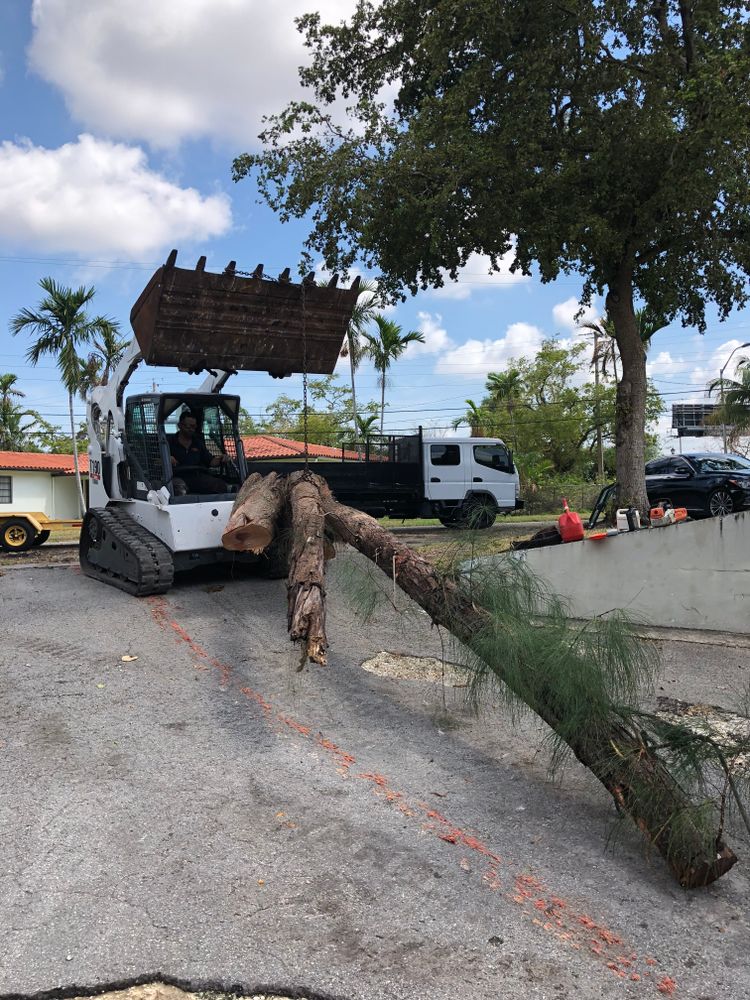 Disaster for Sam's Tree Service in Miami Beach,  FL