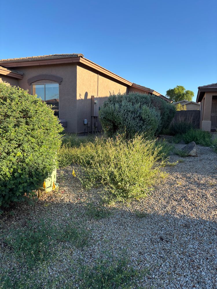 All Photos for Good Hands Landscape in Maricopa, AZ