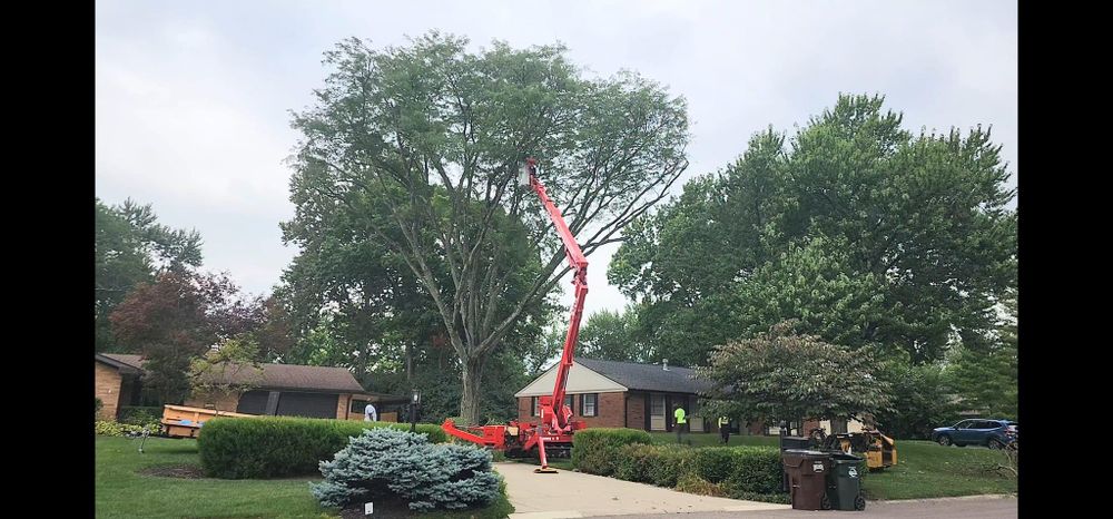 All Photos for F & F Tree Service in Beavercreek, OH