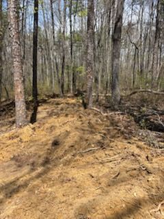 All Photos for TD Dirtworks in Tracy City, TN