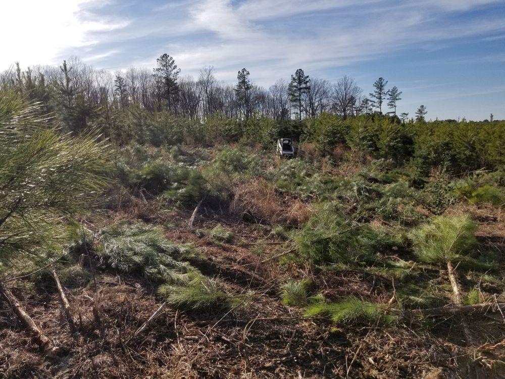 Landscaping for Douthat Solutions in Clearwater, FL