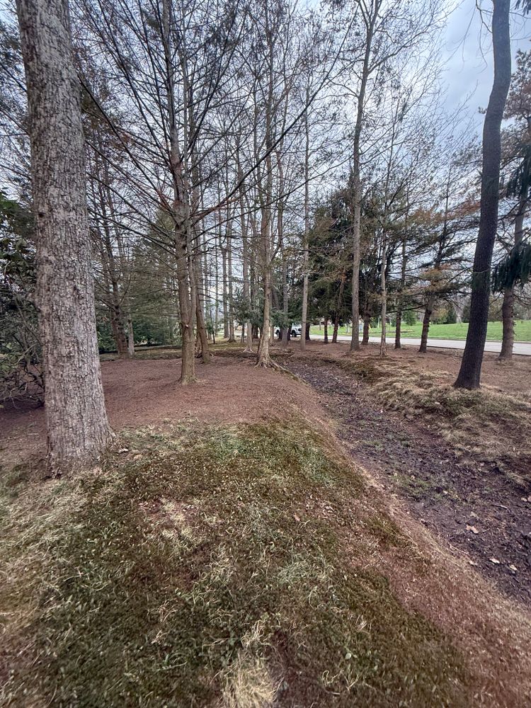 Natural Stone Hardscape for Youngstown Lawn & Patio Design in Canfield, OH