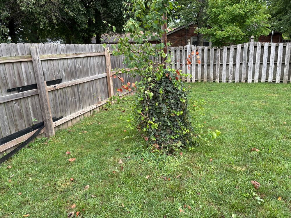 All Photos for Conrad's Stump Removal in Columbus, IN
