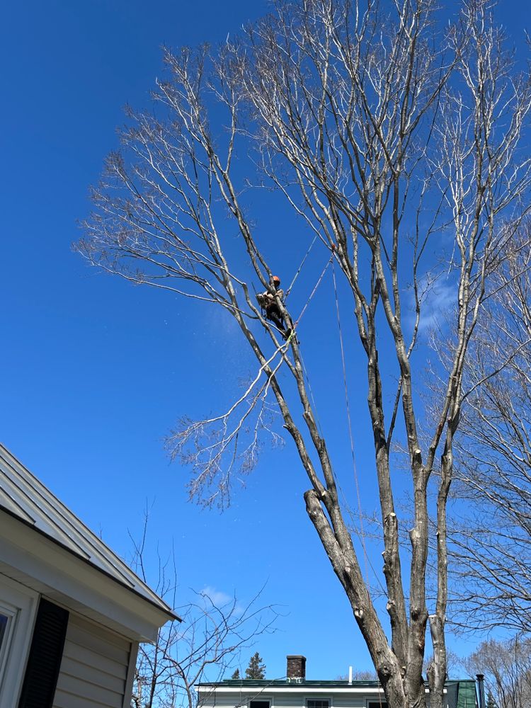 All Photos for Clifford’s Quality Tree Care & Landscaping in Enfield, NH