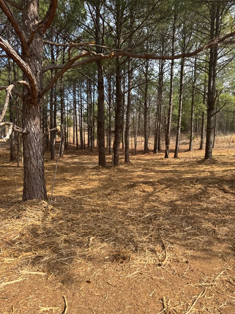 All Photos for Simmons land works in Sardis,, TN