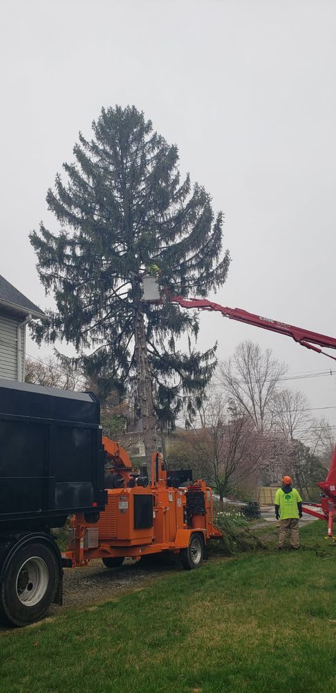 Our Hazardous Tree Removal service ensures safety and peace of mind by expertly removing dangerous trees. Trust us to safeguard your property, while also providing comprehensive snow removal as part of our landscaping solutions. for Freedom Outdoor Services in Glen Mills, PA
