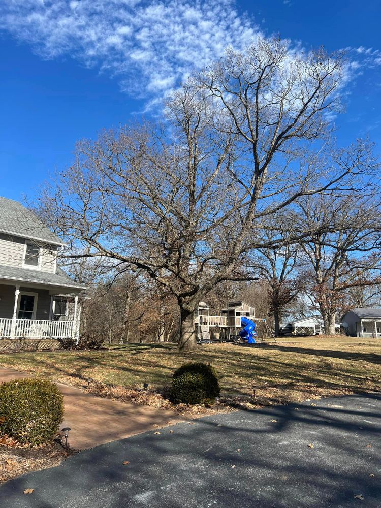 Our expert Tree Removal service ensures safe, efficient removal of unwanted or hazardous trees, enhancing your property's beauty and safety while minimizing disruption to your landscape. Trust us for professional results. for Hunnicutt’s Tree Service L.L.C. in Monticello, IN