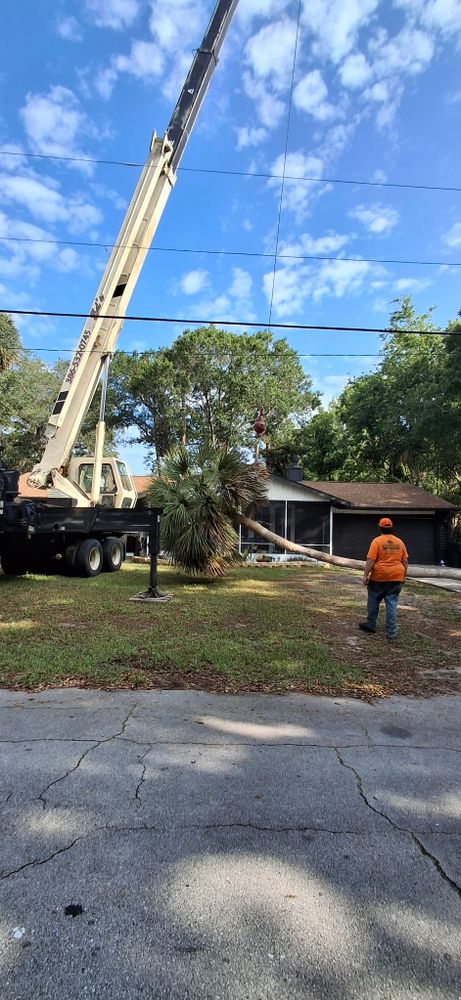 All Photos for Daniel Hickey’s Tree Service in DeLand, FL