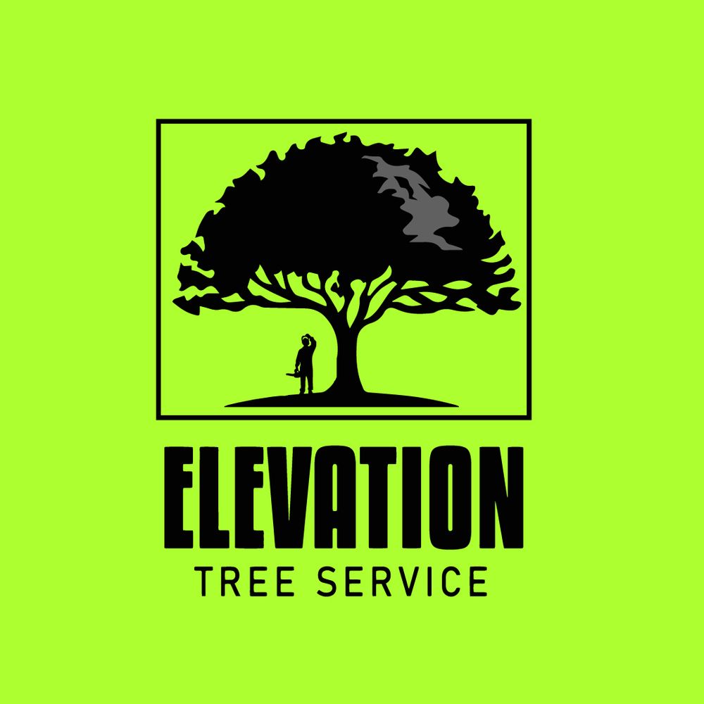 All Photos for Elevation Tree Service in Holiday, FL