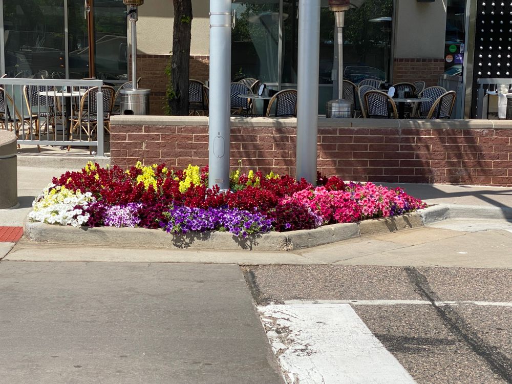 All Photos for Ecogreen Landscape in Denver, CO