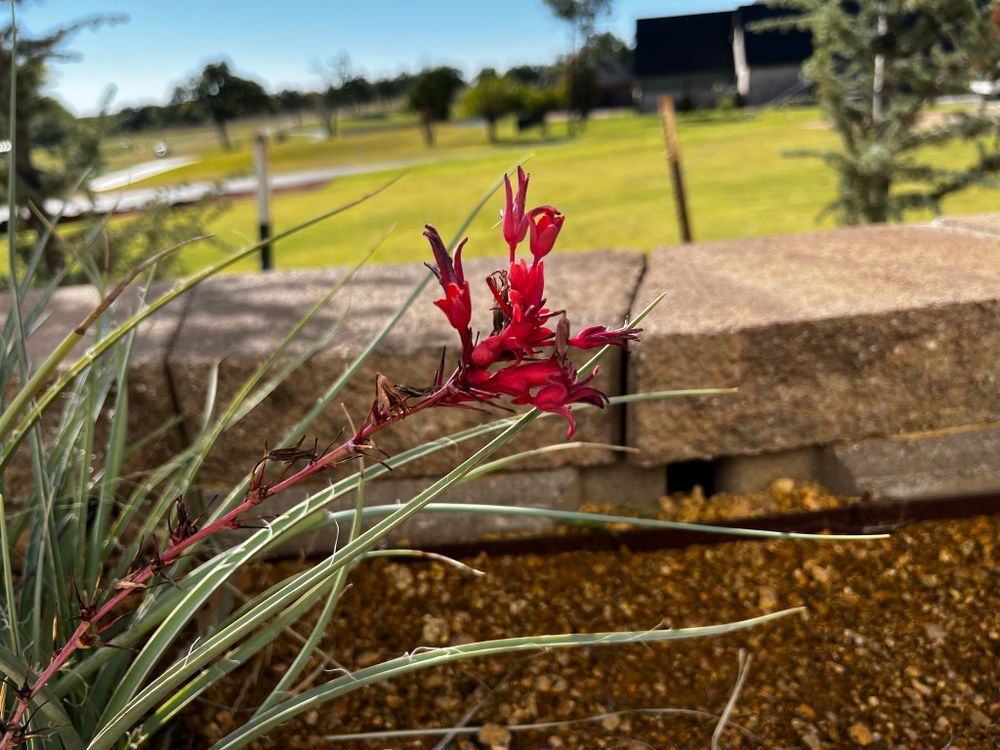 Landscape Installs  for Urban Lawn & Landscape in Oklahoma City, OK