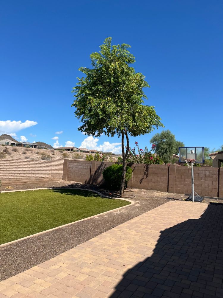 Our Tree & Shrub Care service ensures healthy, vibrant landscapes through expert pruning, disease prevention, and nutrient management tailored to enhance the beauty and longevity of your outdoor space. for Grand Canyon State Landscape Inc. in Surprise, AZ