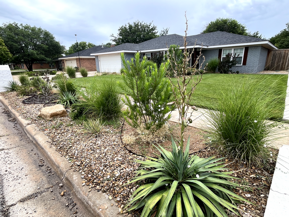 All Photos for Cole Landscaping & Pools, LLC in Amarillo, TX