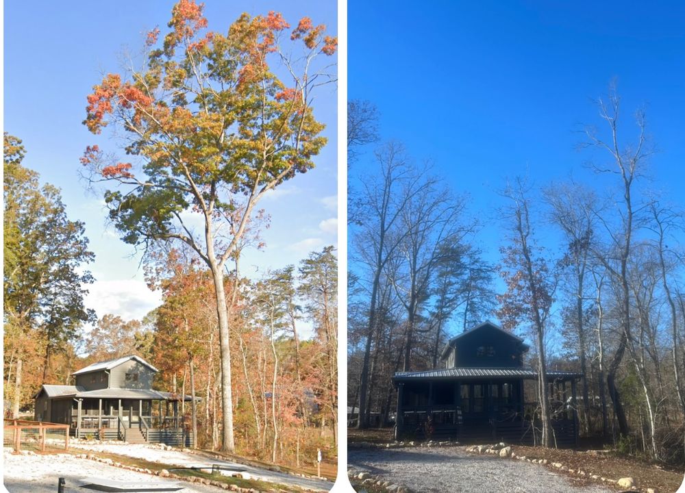 All Photos for McBee’s Tree Service in Sewanee, TN