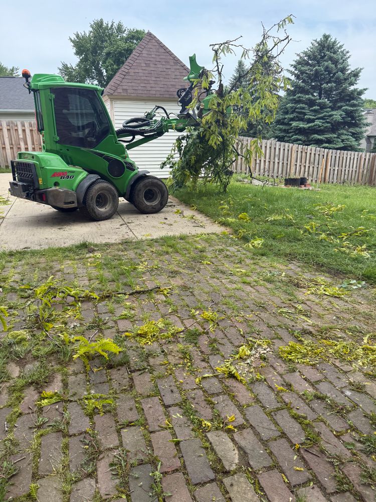 All Photos for Down To Earth Tree Service, LLC in Olmsted Falls, OH
