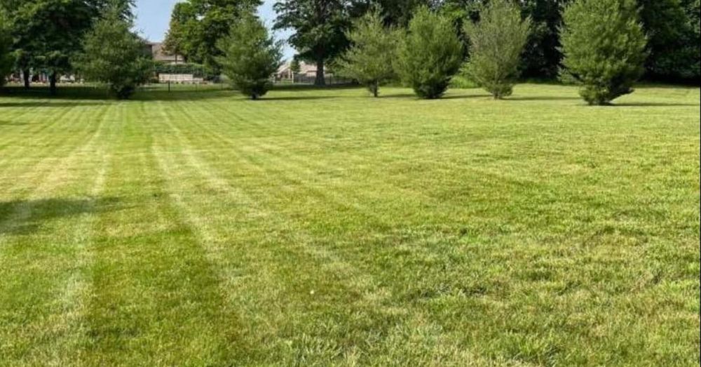 Lawn Care for Wright Lawn Services in Ozark, MO