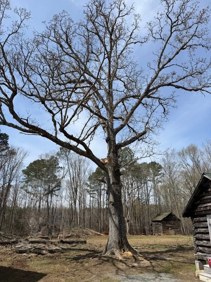 All Photos for Hunt’s Hauling & Landworks LLC in Danville, VA