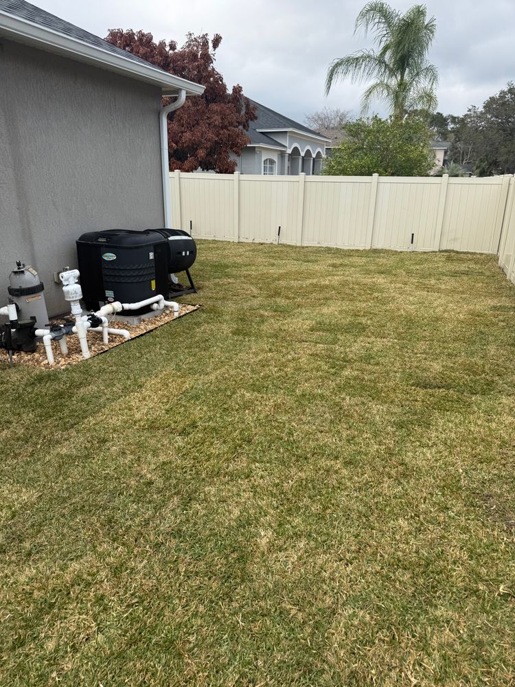 All Photos for Amerigrown Tree And Lawn in Apopka, FL