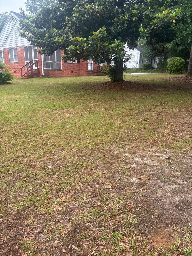 Landscaping for Sparks Landscaping in Augusta, GA