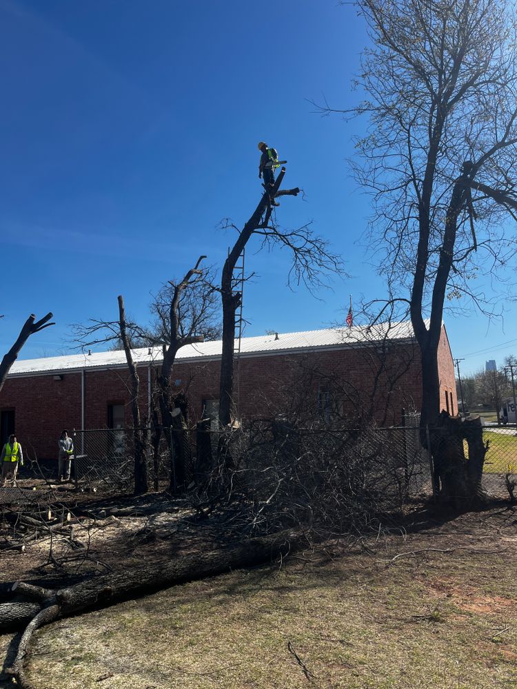 All Photos for Urban Lawn & Landscape in Oklahoma City, OK