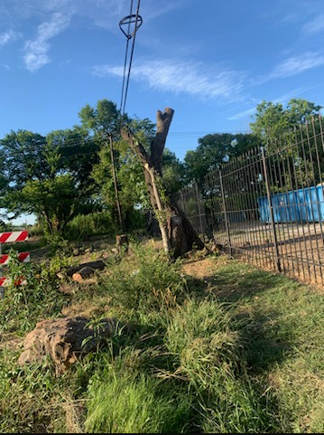 All Photos for Teague Trees and Land Clearing in Rendon, TX