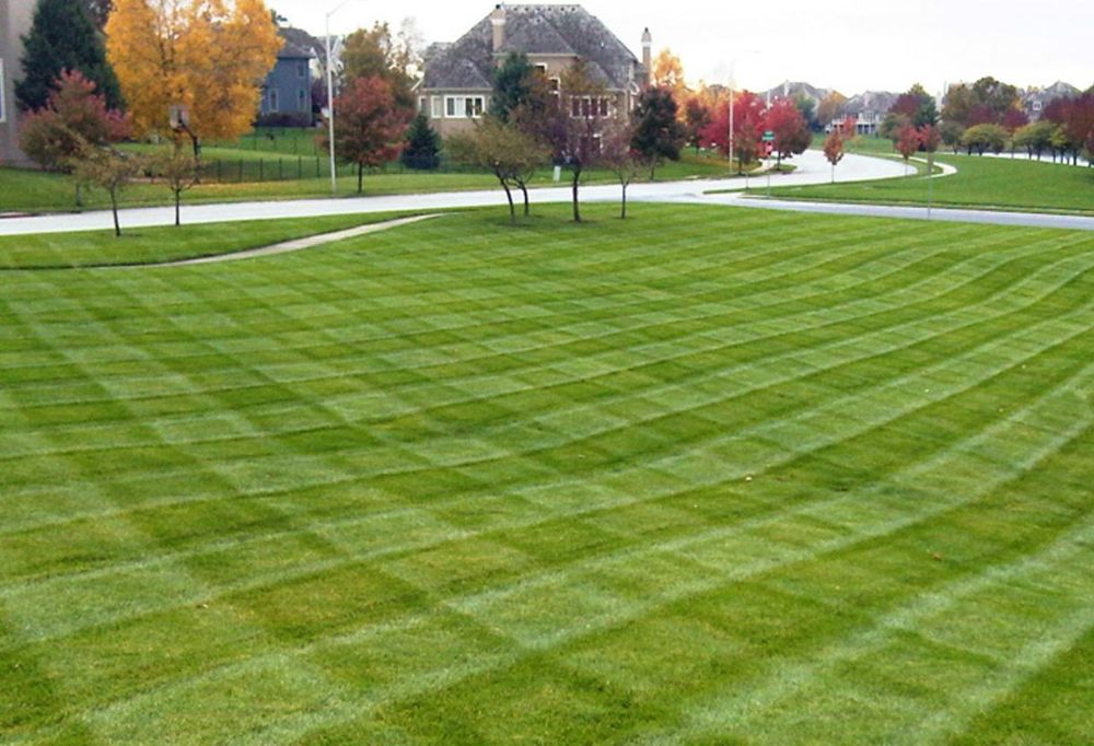 Our professional mowing service keeps your lawn neat, healthy, and beautifully maintained with precise cuts, edging, and cleanup—saving you time while enhancing your home’s curb appeal year-round. for D&L Services LLC in Franklin, CT